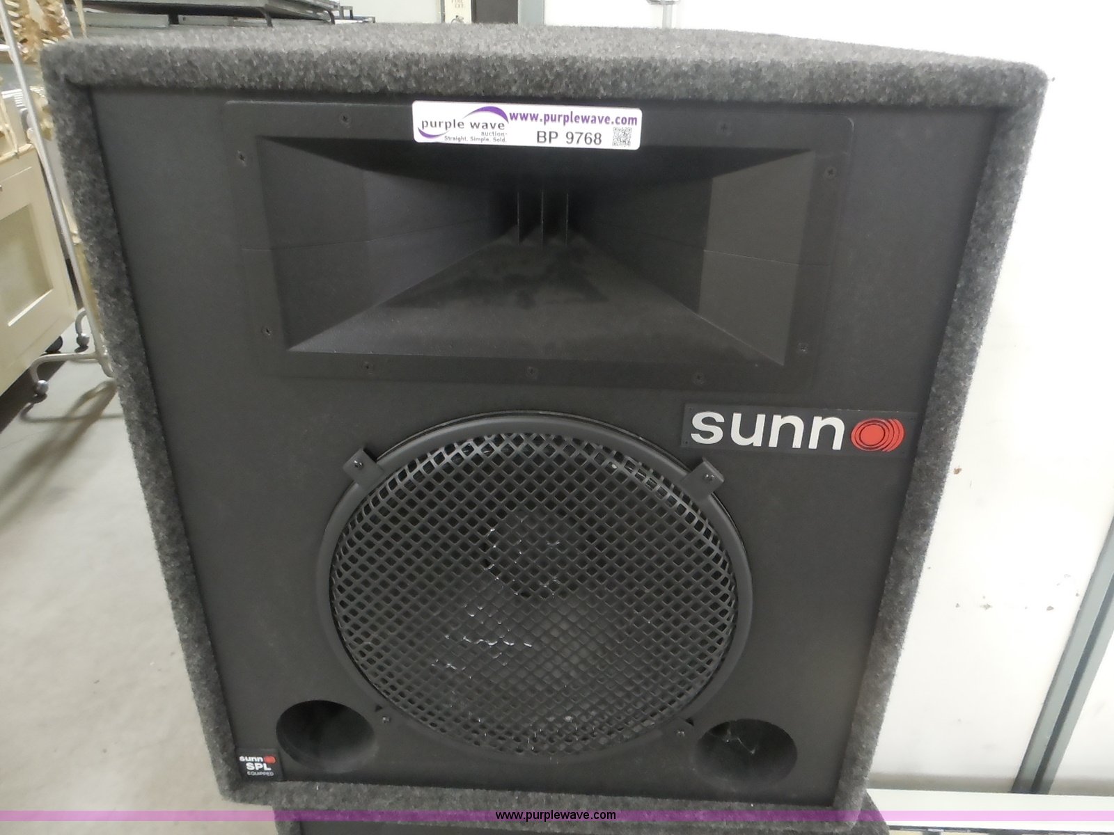 Sunn Model 2 Speakers